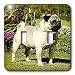   - Dogs Pug - Fawn Pug - Light Switch Covers - double toggle switch