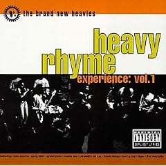 Heavy Rhyme Experience, Vol. 1