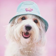 Dogs, Brosch�renkalender