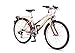 Raleigh Florry 24 Rigid Girls Bike