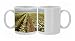 Photo Mugs of Carrots - being grown as a seed crop from Ardea Wildlife Pets