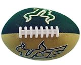 South Florida Bulls USF NCAA Football Smasher