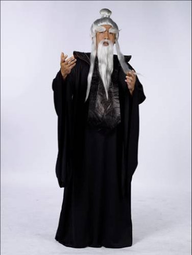Adult Sensei Wig and Beard Set