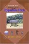 Hypostasis Team