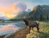 Elk I Art Poster Print by Richard Burns, 28x22