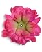 ~ Jamie Rae Raspberry Peony Bloom One Size