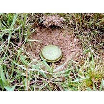 Modern Marvels: Landmines