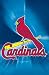 ST LOUIS CARDINALS LOGO MLB POSTER BASEBALL 2 NEW 3944