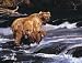 Art Poster Print - River Babies - Artist: Luke Frazier - Poster Size: 0 X 0 inches