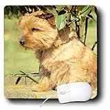 image link - - B000EGIT8U