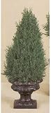 18 CLASSIC CONE CEDAR TOPIARY 2PC