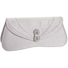 J.Renee Arden Clutch