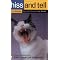 Learn How to Best Care for your Cat