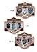 Three Pack Harley Davidson Bar & Shield Wings #641