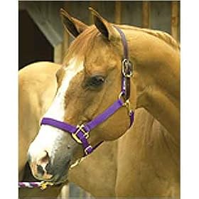 Intrepid International Leather Crown Safety Halter