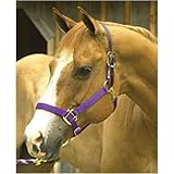 Intrepid International Leather Crown Safety Halter