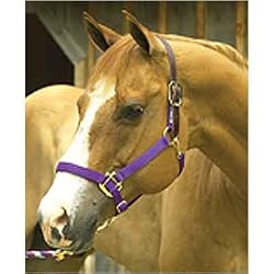 Leather Crown Safety Halter