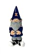 University of Illinois Garden Gnome