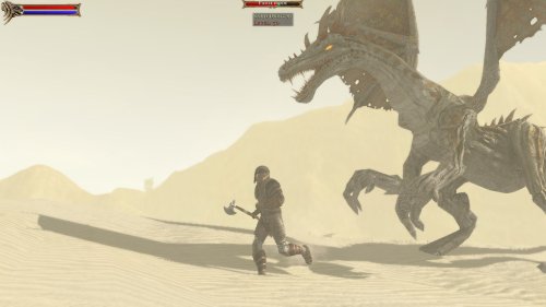 Two Worlds Collector's Edition image