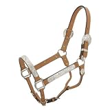Halter Silver Bar Western Show Halter