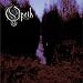 Opeth, the definate top to bottom.
