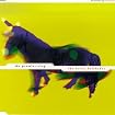 The Horse Latitudes