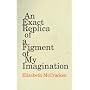 An Exact Replica of a Figment of My Imagination