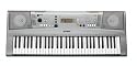 Yamaha YPT-310 61 Full Size Touch Sensitive Keys with 500 Tones and 32-Note Polyphony