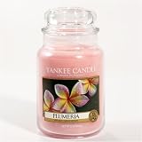 41NPZOutzkL. SL160  Yankee Plumeria 22oz Candle