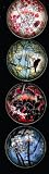 iPop Clicks Tachel Salomon Blossoms 4-Pack Magnet Set