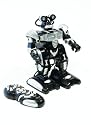 RC Roboter 'X-Robot'