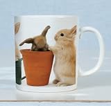 Review Otter House  / The Watering Can Rabbit Mug