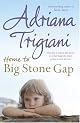Home to Big Stone Gap: A Novel (Big Stone Gap Novels (Hardcover))