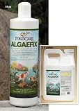 Algaefix - 64 Oz
