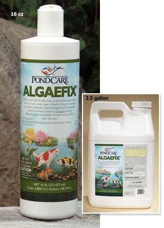 Algaefix - Gallon