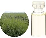 ������� C ��٥���� �֥륬�ꥢ ���å��󥷥�륪���� 10ml

 &nbsp;(�������)&nbsp;