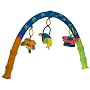 Pull 'n' Play Activity Arch