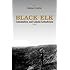 Black Elk: Colonialism And Lakota Catholicism (Faith and Culture Series)