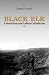 Black Elk: Colonialism And Lakota Catholicism (Faith and Culture Series)