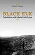 Black Elk: Colonialism And Lakota Catholicism (Faith and Culture Series)