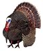 Sporting Goods : Hunter Dan "Big Game Figures" Boss Tom Wild Turkey