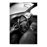 41NQBee1ByL. SL160  NFL Atlanta Falcons Steering Wheel Cover