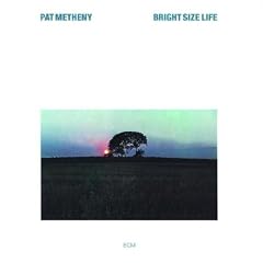 Bright Size Life