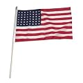 USA 48 star 12in x 18in Stick Flag