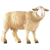 Merinos Sheep （メリノ 羊）