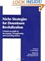NICHE STRATEGIES FOR DOWNTOWN REVITALIZATION (Ichor Business Books)