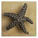 Anne At Home Cabinet Hardware 167 Dancing Starfish Knob Antique Gold