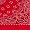 RED W/ PAISLEY PRINT