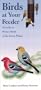Birds at Your Feeder: A Guide to Winter Birds of the Great Plains, 10-Pack P.O.P Display (Bur Oak Guide)