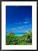 Providenciales, Caicos Islands, Turks and Caicos Islands Collections Framed Photographic Poster Print, 21x29